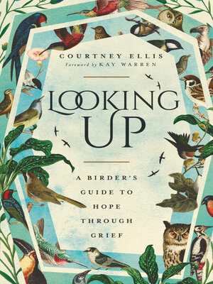 cover image of Looking Up